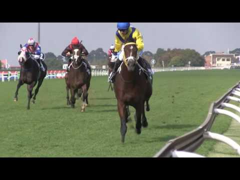 NATIONAL COLOUR BLAZES WITH SHEIKH POWER GR1