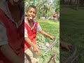 ️মনসাৰি সুকুমাৰি ️Jaygopal YouTube Sort Sort Video ️
