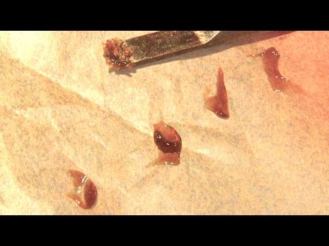 How to Make Shatter With a Quick Wash of Isopropyl Alcohol (QWISO): Cannabasics #12 Video