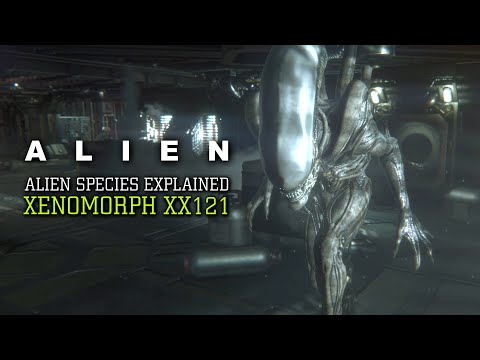 The Xenomorph XX121 - Alien Species Explained