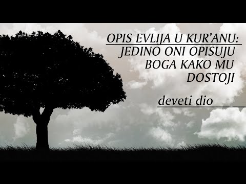 #9 Amar Imamović: Opis evlija u Kur'anu: jedino oni opisuju Boga kako Mu dostoji