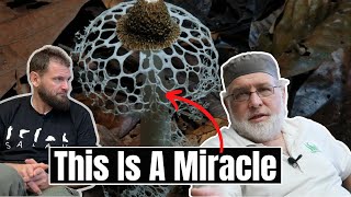 In this episode of The Deen Show, we are introduced to a Texan music producer who embarked on a profound faith journey tha...