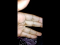 The Talking Hand