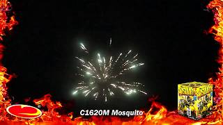 MOSQUITO 16 RAN