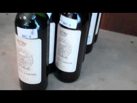 Vertical of Chateau Gruaud Larose: 1989-2010