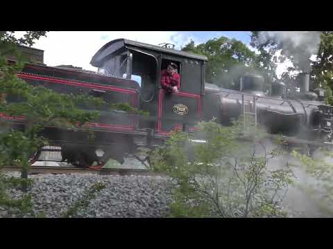 I spåret av året och ånglokståget som gått 2022 KULLYWOOD