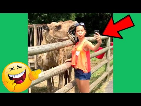 fail compilation may 2021 - fail may 2021 | fails may 2021 #3