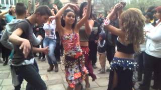 Romski praznik 2015 Romski praznik 2015