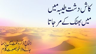 Kalam | Kash Dasht e Taiba Main, Main Bhatak Kay Mar Jata | Naat | Madani Channel | DawateIslami
