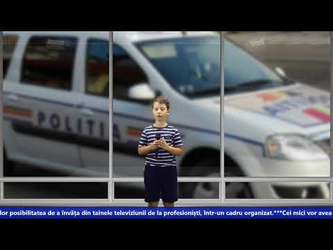 ANDREI GAGEATU - "Un echipaj de poliție a escortat cu mașina o rață cu bobocii săi"