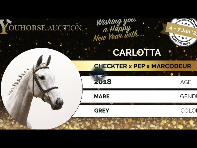 Carlotta showvideo