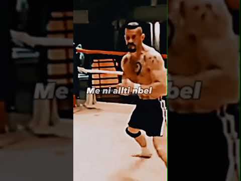 UnikKatil-Ala(LyricsShqip) #unikkatil