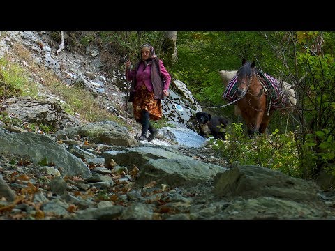 Izolaţi în România: Ineleţ, judeţul Caraş Severin (@TVR1)