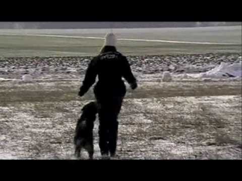 Mia od Natálky - Obedience