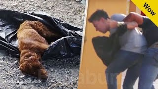 No dejaba de golpear a un perrito hasta que la gente le hizo esto…