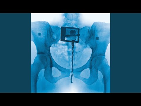 Poster  Shapeshifter Lyrics – Lorde | from Virgin 