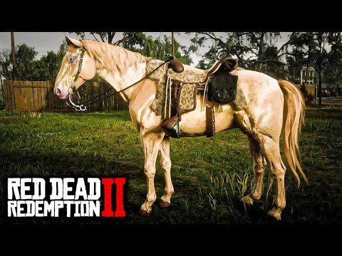 91% DOS JOGADORES PERDEM ESSE CAVALO:WARMBLOODS HOLANDÊSES(O COMPÊNDIO pt.8) - RED DEAD REDEMPTION 2