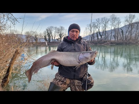 Mladica na Drini - Sezona 2022/2023