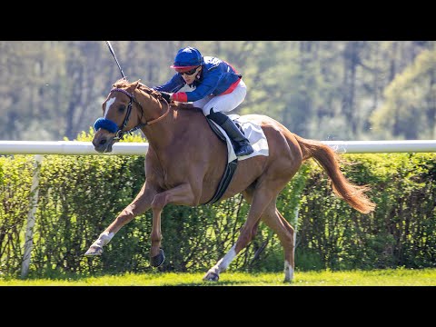 Berlin-Hoppegarten: Altano-Rennen 2025 Sieger: Flatten The Curve