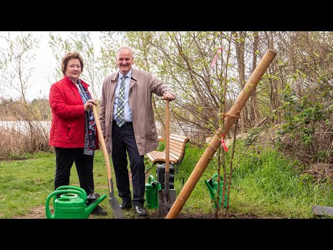 Zum Tag des Baumes: Moorbirke in Neu Fahrland gepflanzt