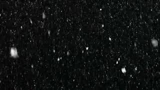 Люди як сніжинки