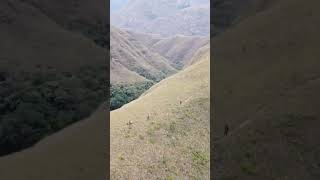 Download lagu hampir saja rhoma irama feat elvy sukaesih mp3 Download lagu hampir saja rhoma irama feat elvy sukaesih mp3