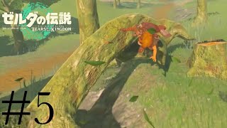 木って動くんですか？ #5【ゼルダの伝説 ティアーズオブキングダム】