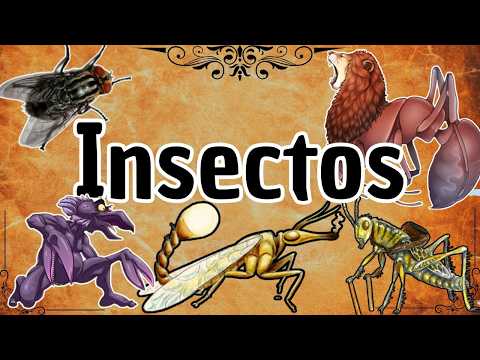 The 15 Most Epic Mythological Insects You Didn't Know About