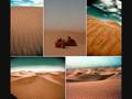 Satomi And Neil S East Turkistan Adventure Vol1