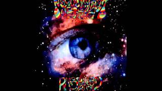 Magic Mushroom Band - Hurry On Sundown {Hawkwind}