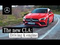 Mercedes-Benz of Fort Mitchell, Kentucky - New Mercedes-Benz Sales - Thank you for being a loyal customer:  Call (859) 331-1500  - CLA-2019