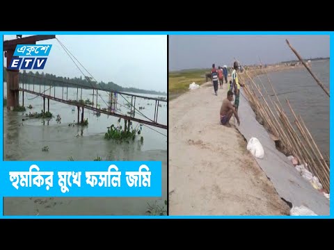 পানি বেড়ে হুমকির মুখে হাওরের জমির ফসল
