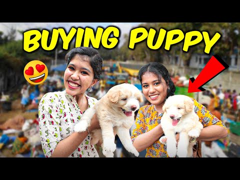 😢Ammu Cried - 😱Buying DOG 🐶 || Ammu's Dream😍 || Ammu Times ||