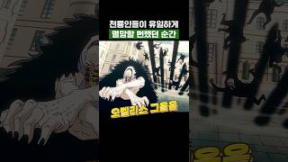 원피스) 천룡인들이 유일하게 멸망할 뻔했던 순간 #원피스