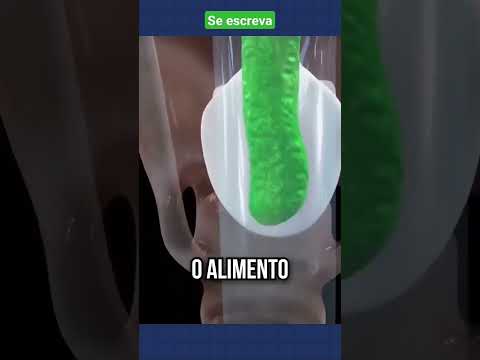 O QUE PROVOCA O VÔMITO? VEJA !   ASSISTA COMPLETO 👆      #shorts #viralvideos #cuidados #emalta