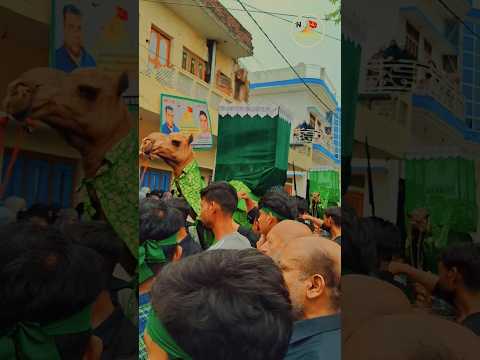 Muharram juloos Nowgawan Sadat 2025_1447 hijri #Shorts #Traning @NS SHIA TV