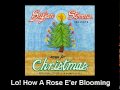 Sufjan Stevens - Lo! How A Rose E'er Blooming