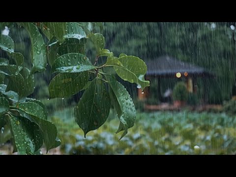 Sleepy Sounds of Gentle Rain Noises Under Tress, Ultimate Calm for Deep Sleep Tonight