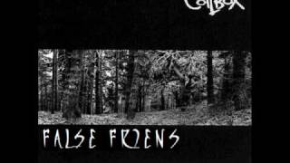 Coilbox - False Friends