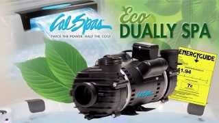 Cal Spas Dually Spa Pump for Hot Tubs