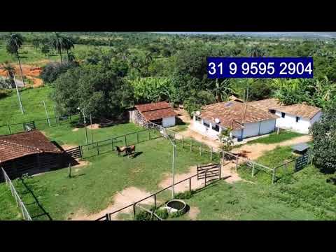 Fazenda à venda em Morada Nova de Minas–MG - 687 ha