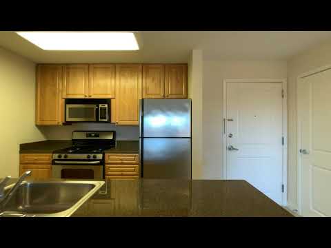 Watertown Square Apartments - Watertown, MA - Studio C Unit 405