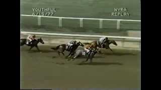 Affirmed vs. Alydar - 1977 Youthful Stakes