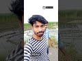 Single Boy Funny Status Single Boy Meme Bengali Comedy Video Shorts