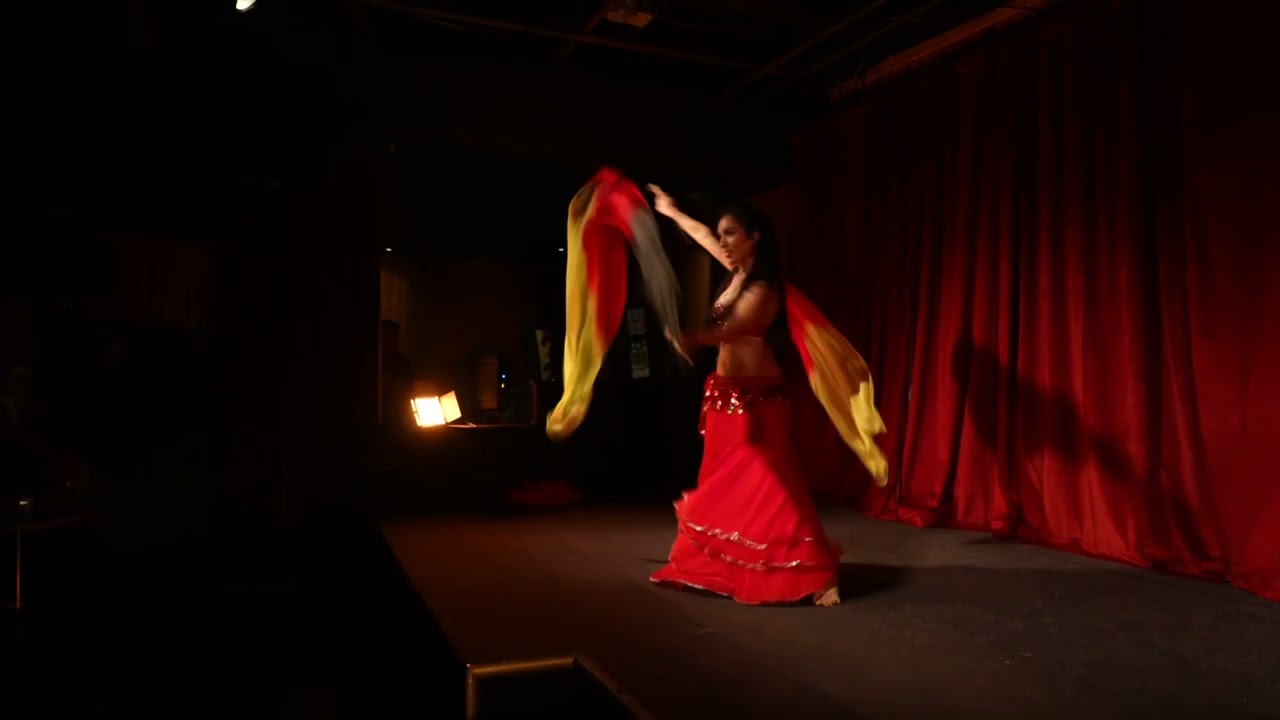 Promotional video thumbnail 3 for Gina Belly dancer