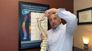 Your Nervous System Controls Everything