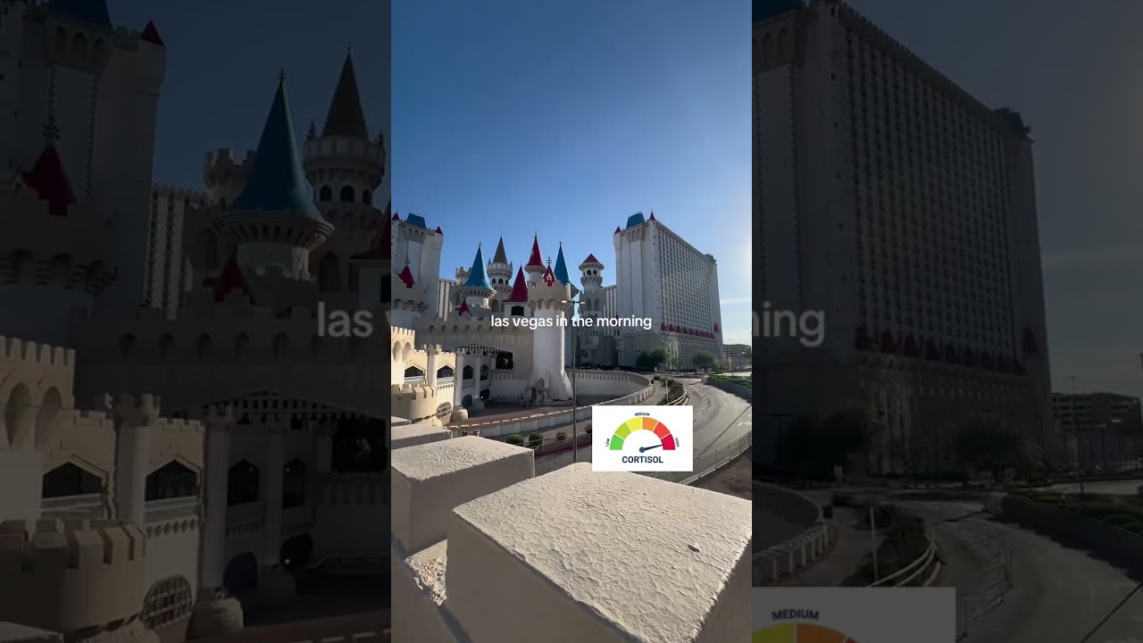 ts is peak🥹 #fyp #vegas #night #lowcortisol 