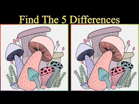 Have you ever seen such a difficult spot the difference game? Try this one first!