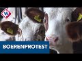 Boerenfamilie heeft meerdere banen om rond te kunnen komen - OMROEP WEST