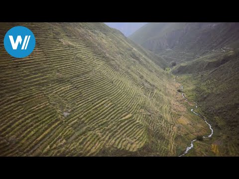 The Terrace Wonder of Peru (360° - GEO Reportage)